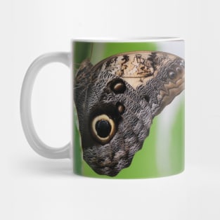 Schmetterling Mug